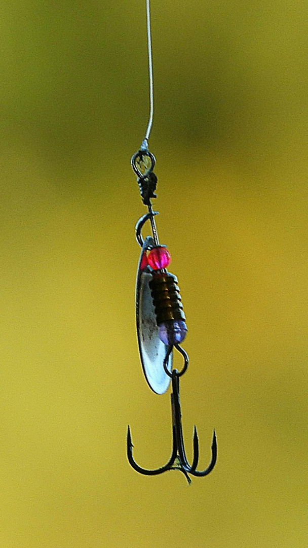 Einzelköder Spoon