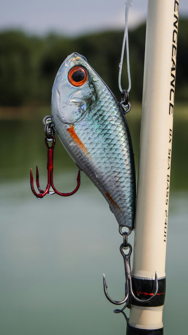 Einzelköder Raubfisch